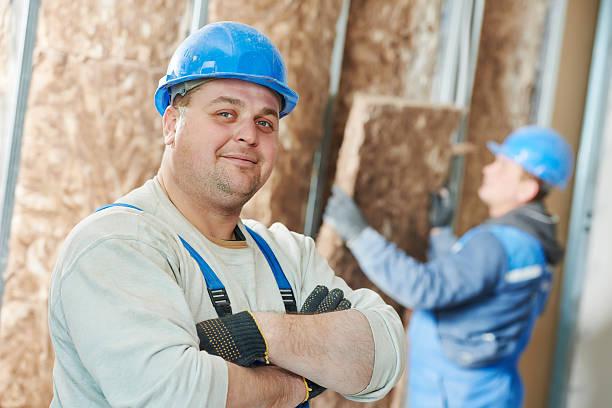 Best Insulation Inspection Services  in Placitas, NM